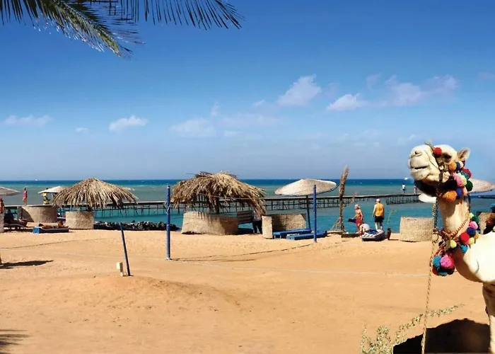 Florenza Khamsin Hurghada